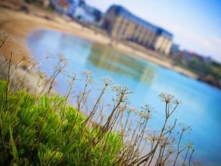Castel Beau Site 4*